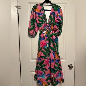 Farm Rio x Anthropologie pink toucan dress